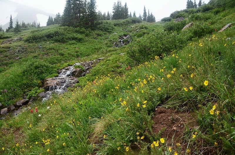 The basin below Mount Parnassus &amp; Woods Mountain (24)