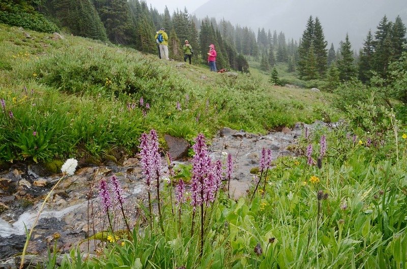 The basin below Mount Parnassus &amp; Woods Mountain (27)