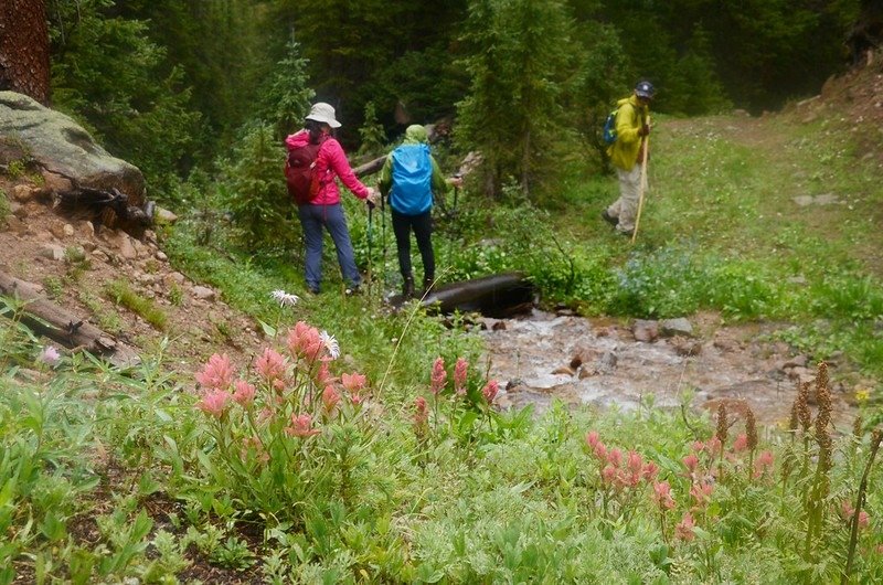 Ruby Gulch Trail, Empire, Colorado (130)