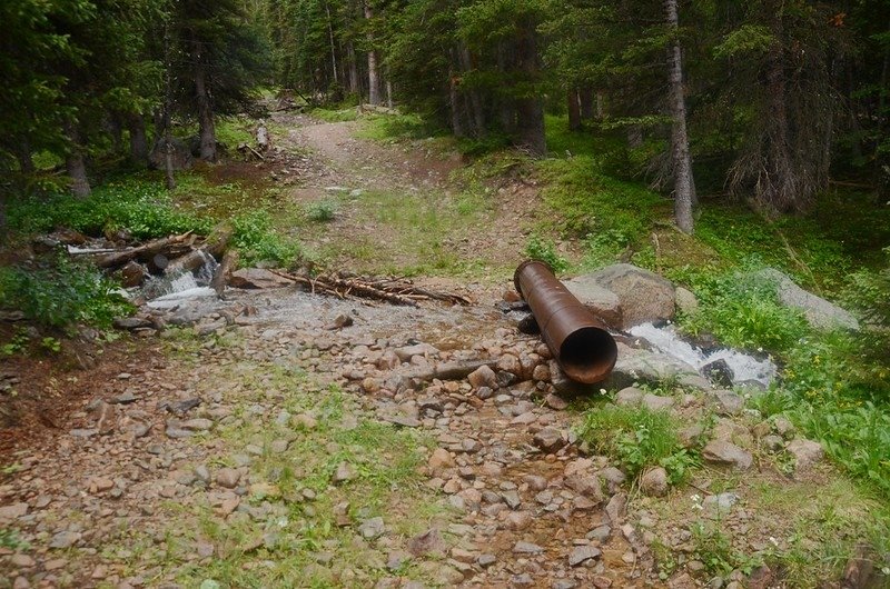 Ruby Gulch Trail, Empire, Colorado (144)