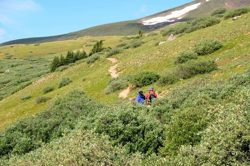 Square Top Mountain Trail, Colorado (8)