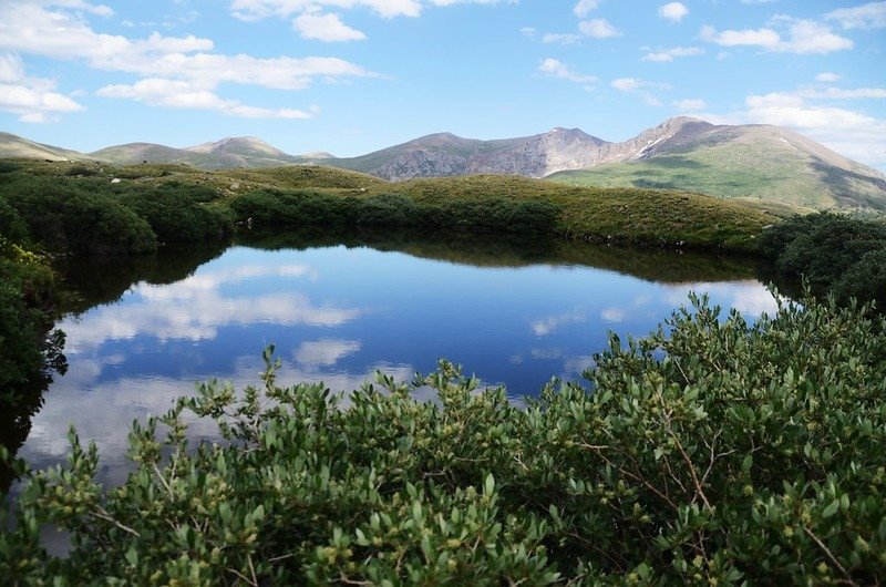 Square Top Mountain Trail, Colorado (120)