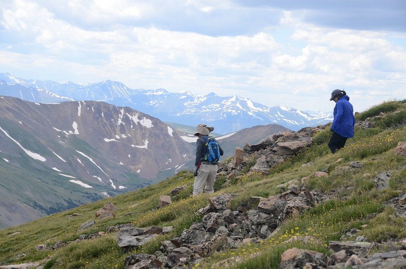 Square Top Mountain Trail, Colorado (112)