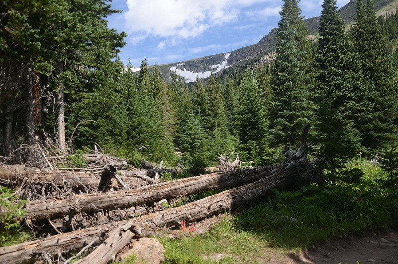 Mountain view from Arapahoe Pass Trail (1)