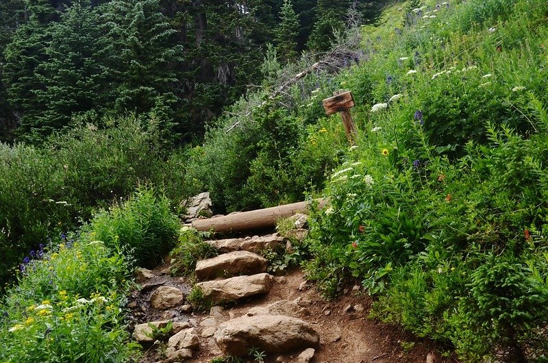 Diamond Lake &amp; Arapahoe Pass Trail junction