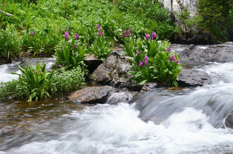 Waterfall on the North Fork Middle Boulder Creek (3)