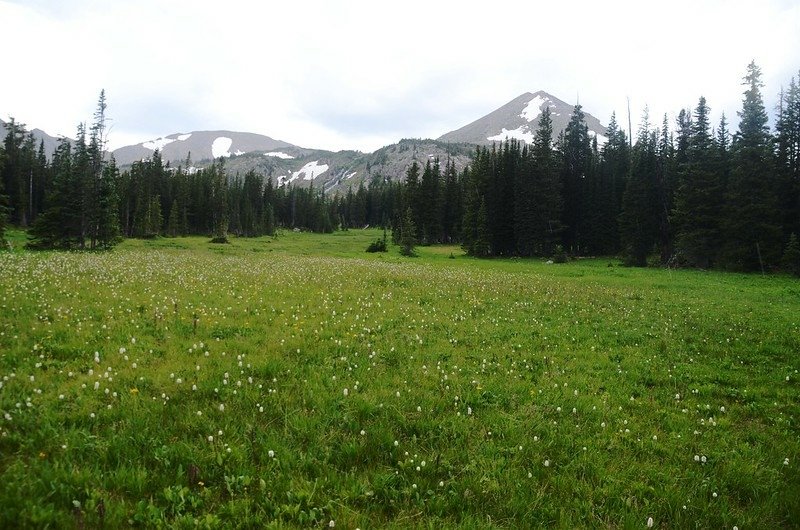 A large meadow Before Diamond Lake