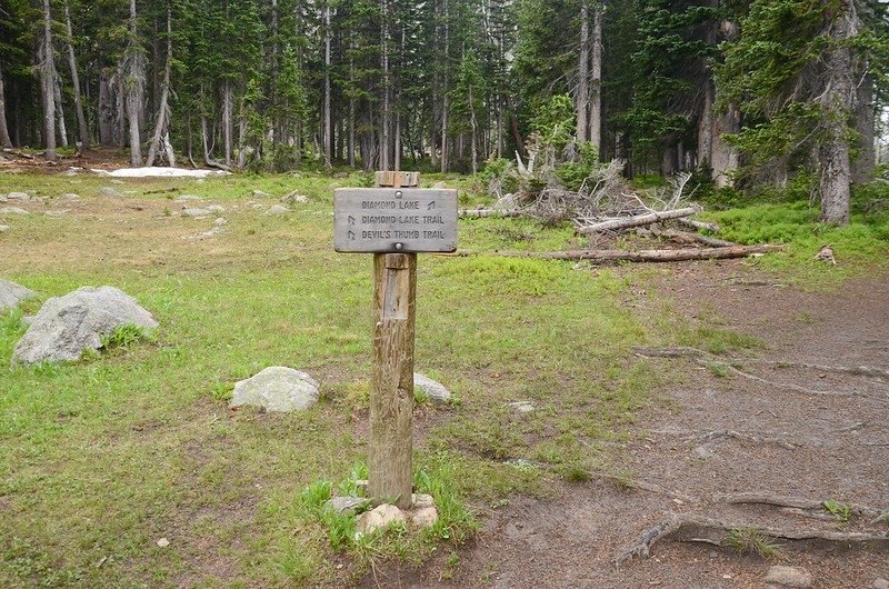 Devils Thumb Trail junction