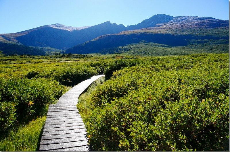 The boardwalk have been built on the muddy sections