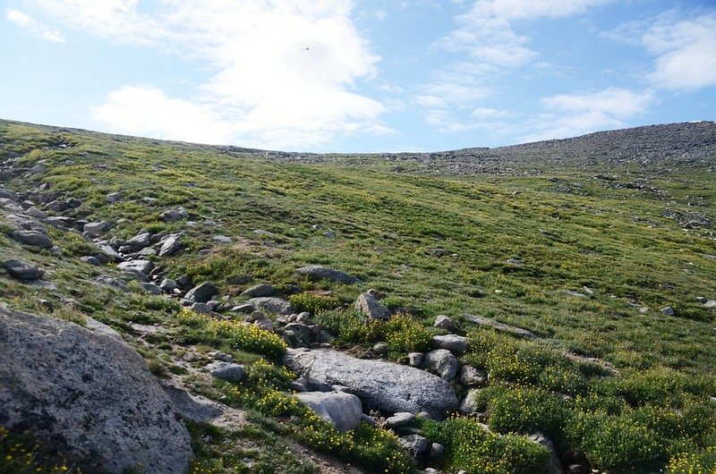 Taken from the top of the gully (1)