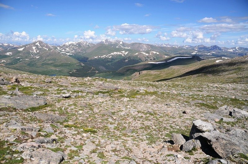 Looking back toward the gully (2)