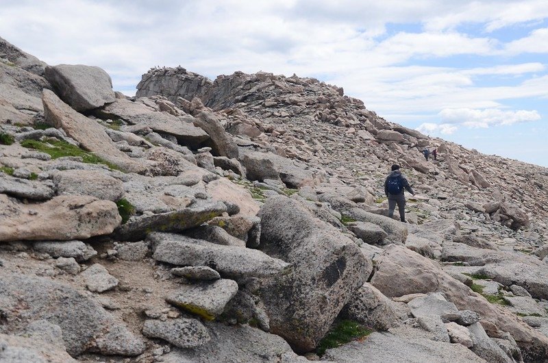 The final part of the trail travels along the south slope of Mount Evans&apos; west ridge (11)