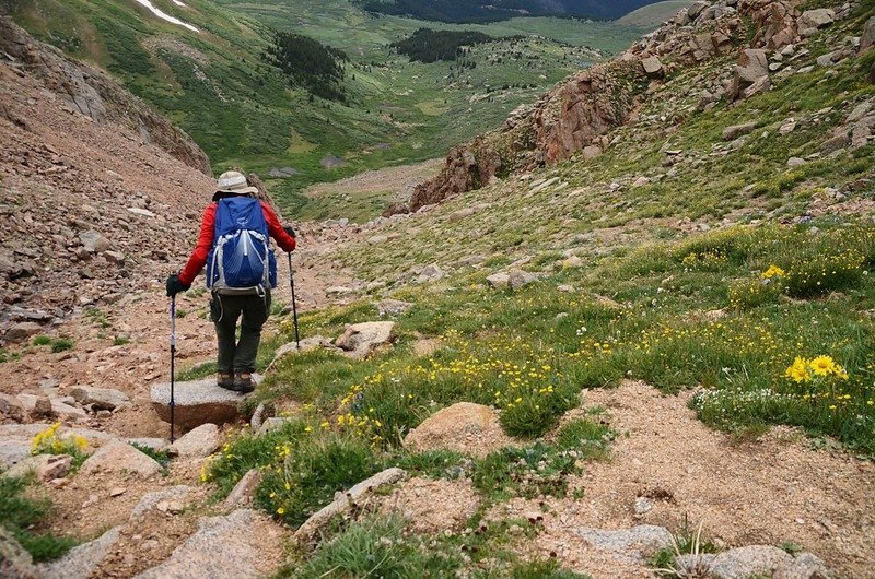 Descending the gully (7)