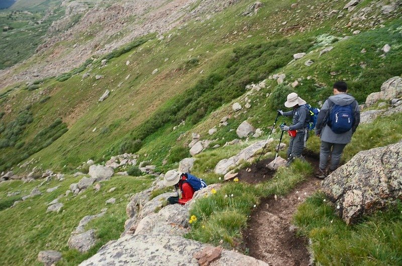 Looking down Scott Gomer Creek, descending the gully (4)