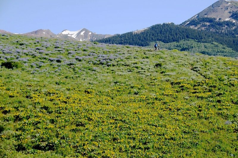 Teddy&apos;s Trail, Crested Butte (43)