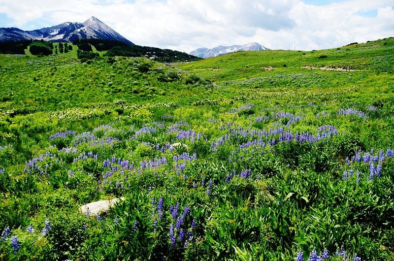 Gothic Road, Crested Butte, Colorado (47)