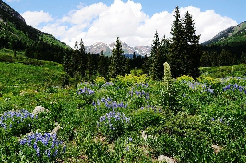 Gothic Road, Crested Butte, Colorado (94)