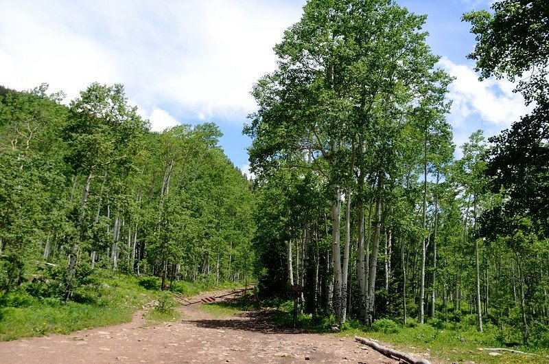 Copper Creek upper trailhead  (1)