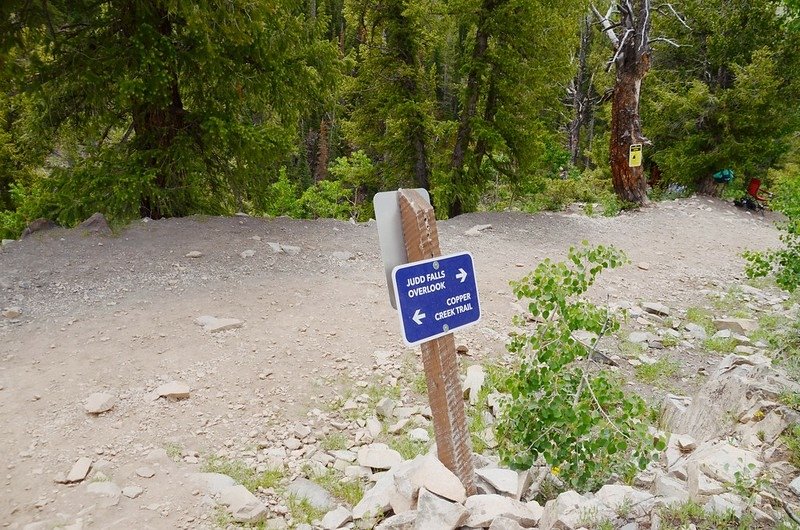 The junction of Judd Falls overlook &amp; Copper Creek Trail