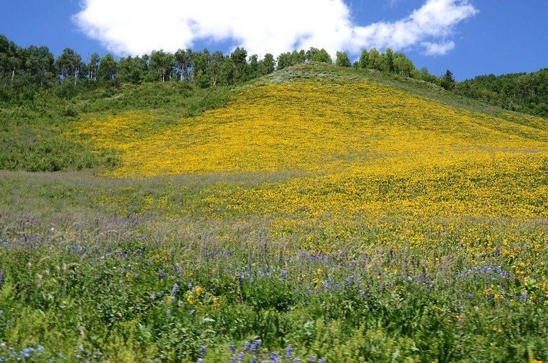 East River Trail, Crested Butte (552)