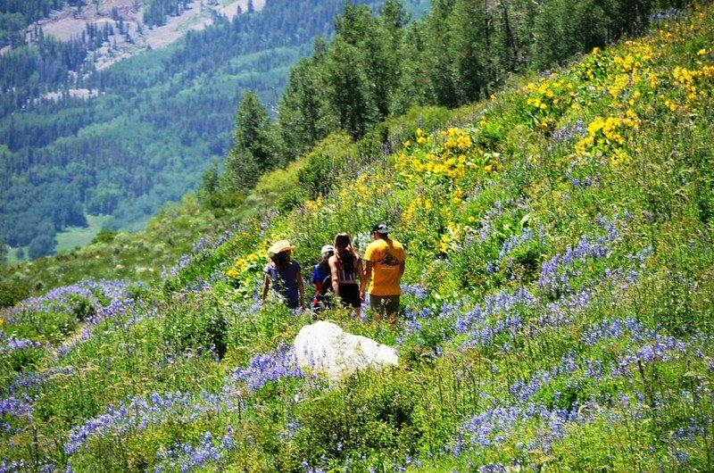 East River Trail, Crested Butte (522)