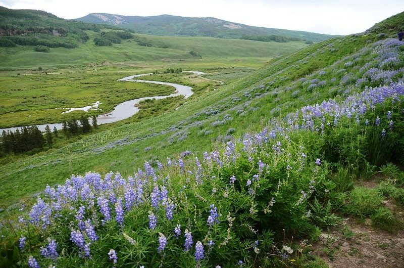 East River Trail, Crested Butte (194)