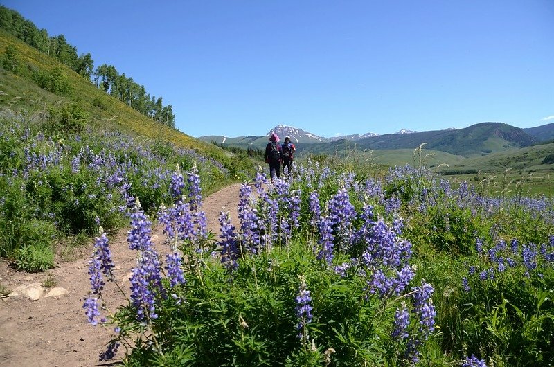 East River Trail, Crested Butte (341)