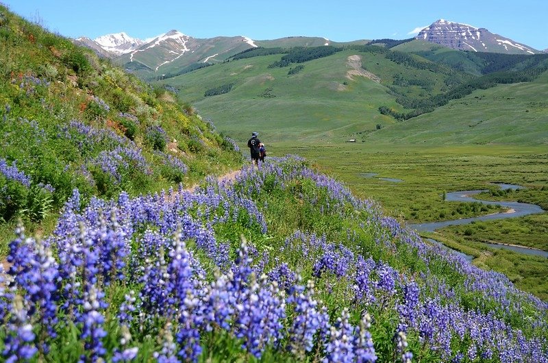 East River Trail, Crested Butte (424)