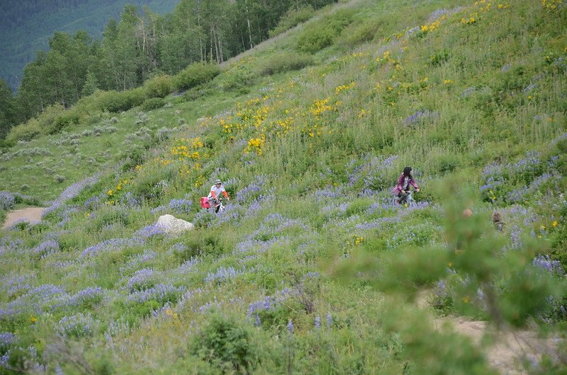 East River Trail, Crested Butte (273)