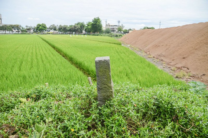 小茄苳冠字補陳(01)台灣省政府圖根補點(Elev. 31 m) 1