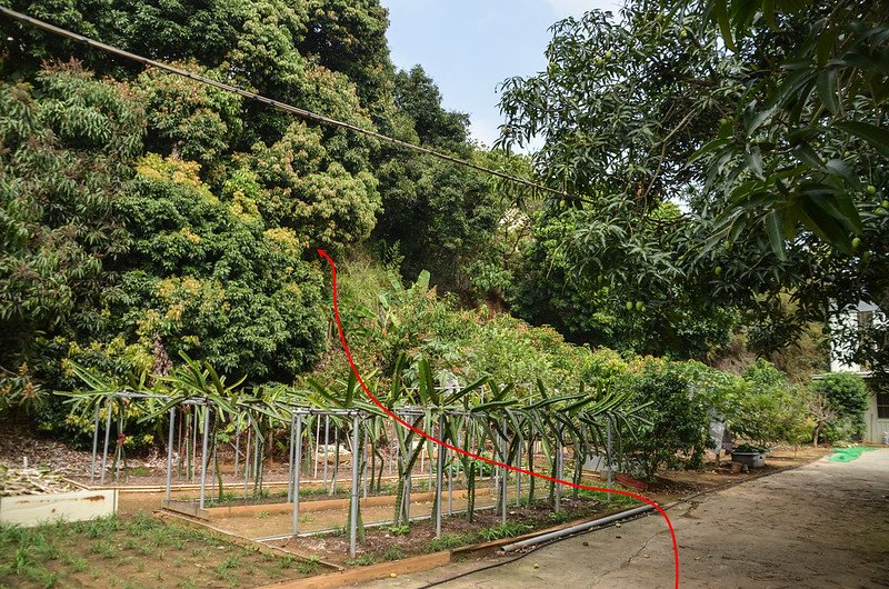 頭橋圖根點登山口