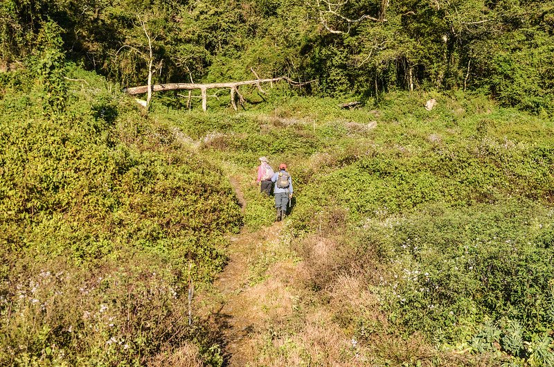 江坡古山登山口 1