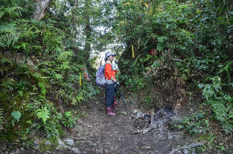 江坡古山1450鞍部