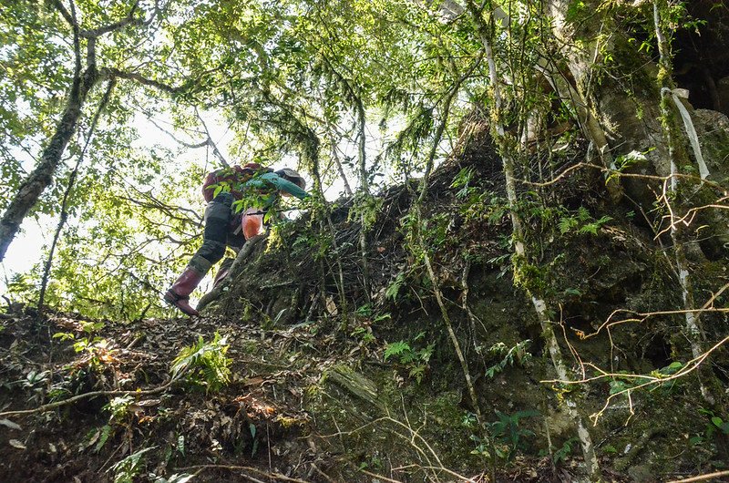 江坡古山稜線路徑 3