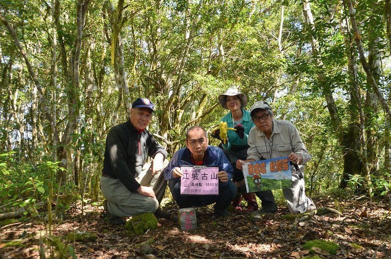 江坡古山森林三角點 3