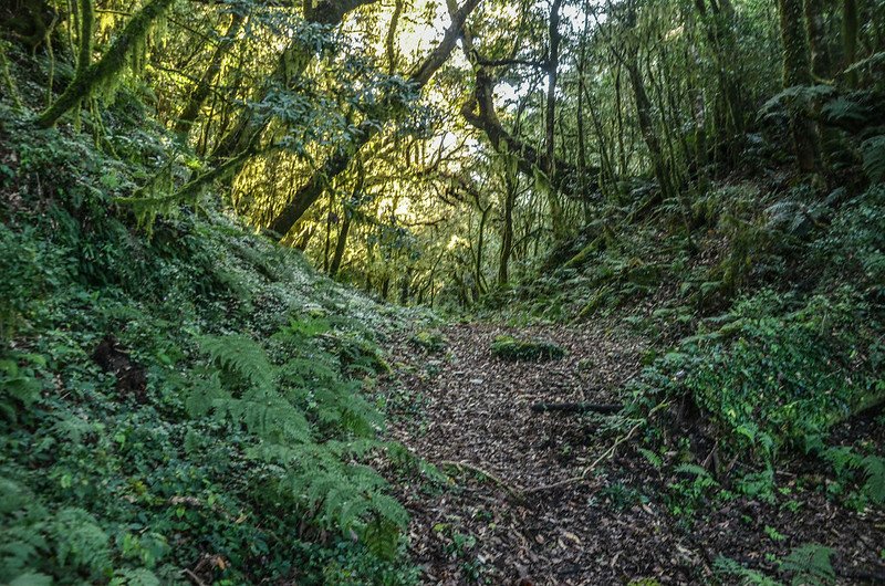 戒茂斯山登山口上方平台