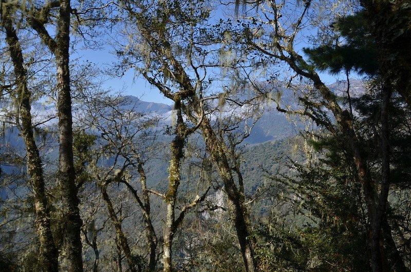 戒茂斯山登山途中西眺關山大斷崖 (3)