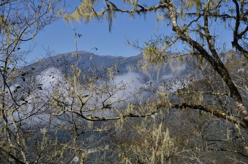 戒茂斯山登山途中西眺關山大斷崖 (4)