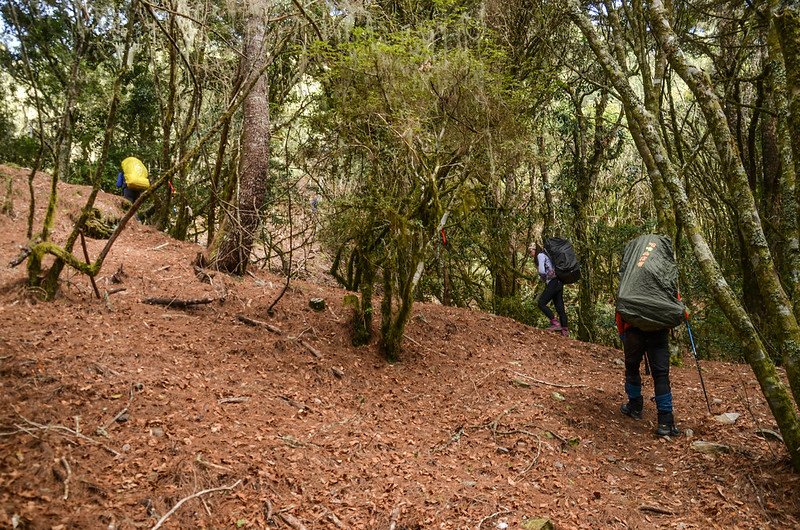 戒茂斯山登山步道 (9)