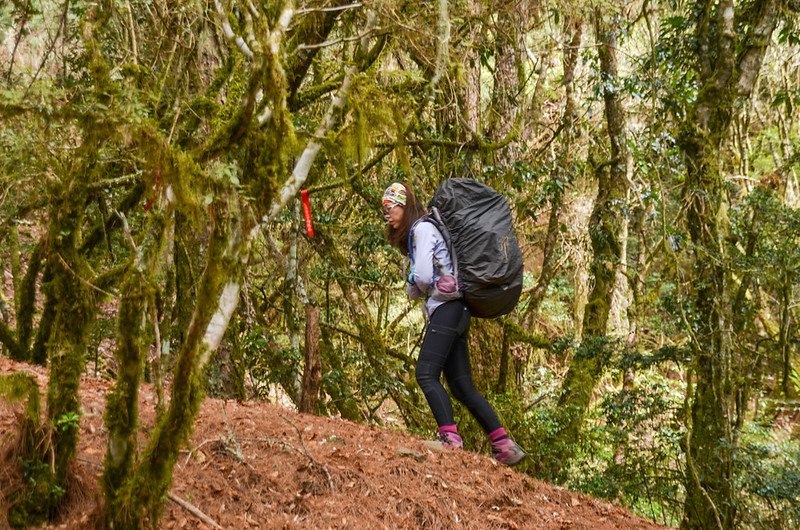 戒茂斯山登山步道 (10)