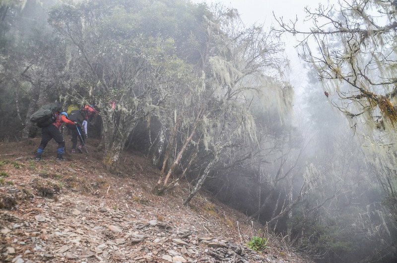 戒茂斯山碎石坡地段 (3)