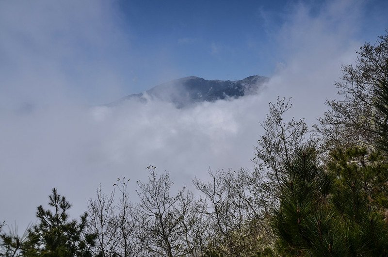 戒茂斯山登山途中西眺關山大斷崖 (6)