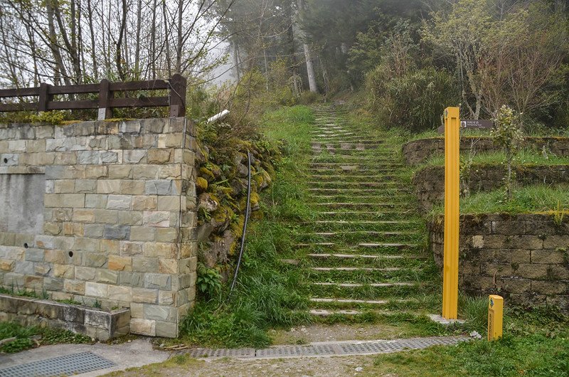 向陽國家森林遊樂區松景步道 1