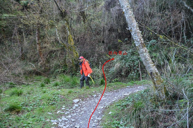 向榮山松景步道0.65K登山口