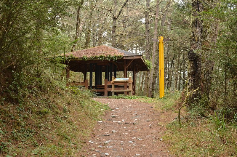 向陽國家森林遊樂區松景步道涼亭