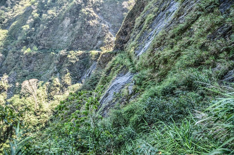 小鬼湖林道已荒廢路段 (3)