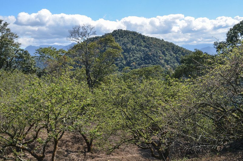 西廓亭山山頂東南眺廓亭山