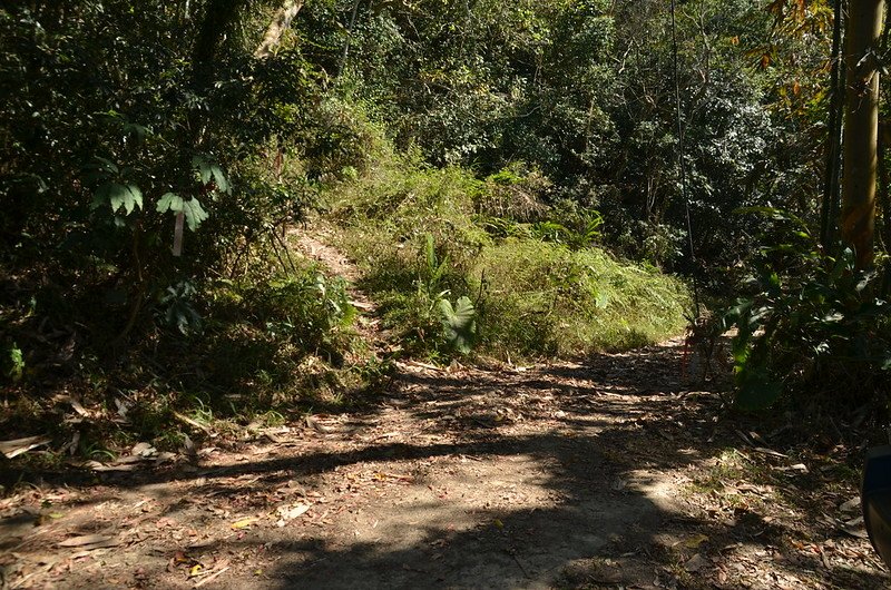 廓亭山登山口