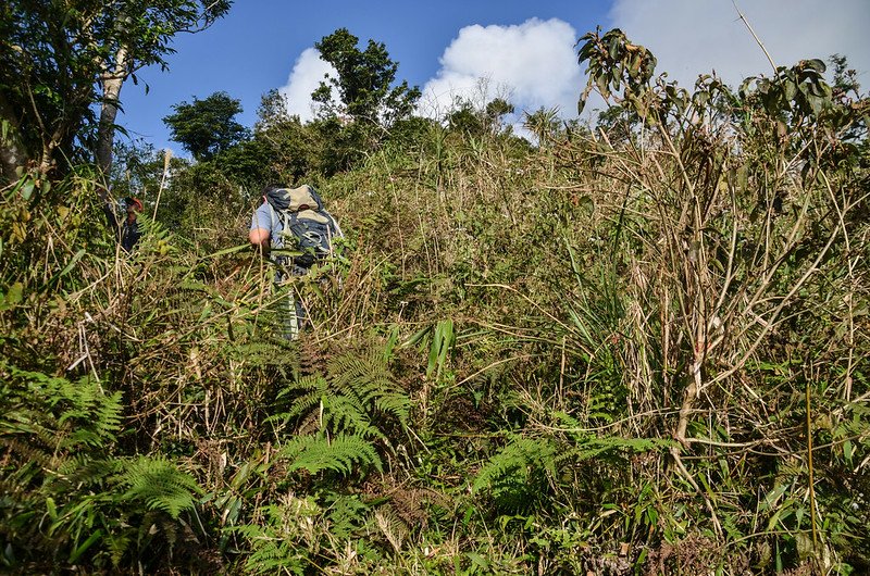 登追分山途中開闊區 (2)