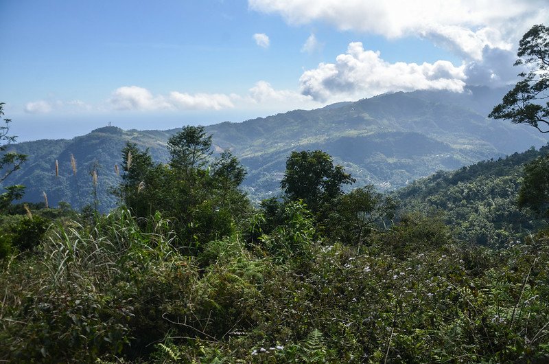 追分山開闊區南眺群山 (3)